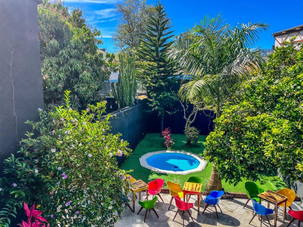 Antonia Poolside Autonomy Hotel