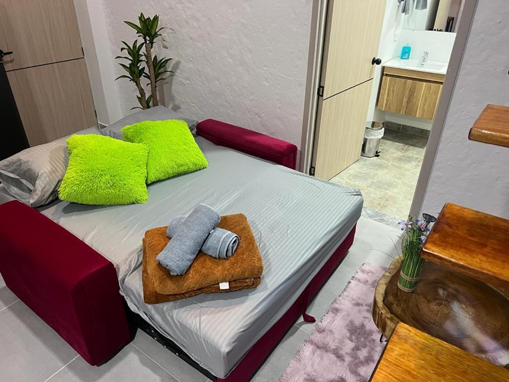 apartaestudio salento 6