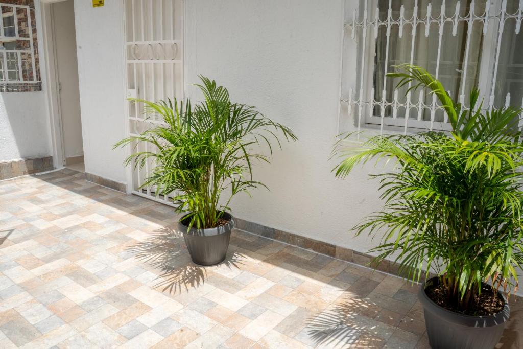 Todo El Apartamento Completo con Ante Jardin
