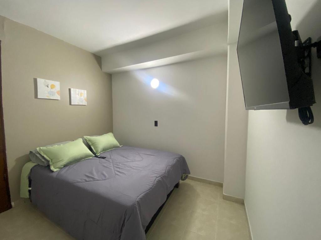 Alojamiento edificio Rosalba 207