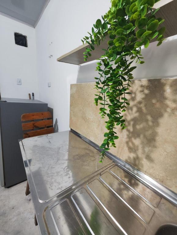 Apto studio Prado wiffi y Air conditioning