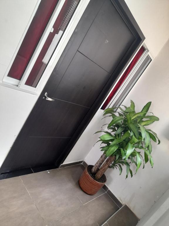 apartaestudios el jardin 2