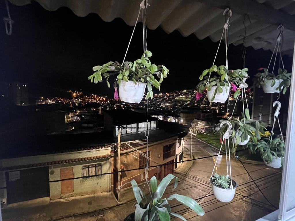 Apartamento Barrio la Argentina vía principal 302