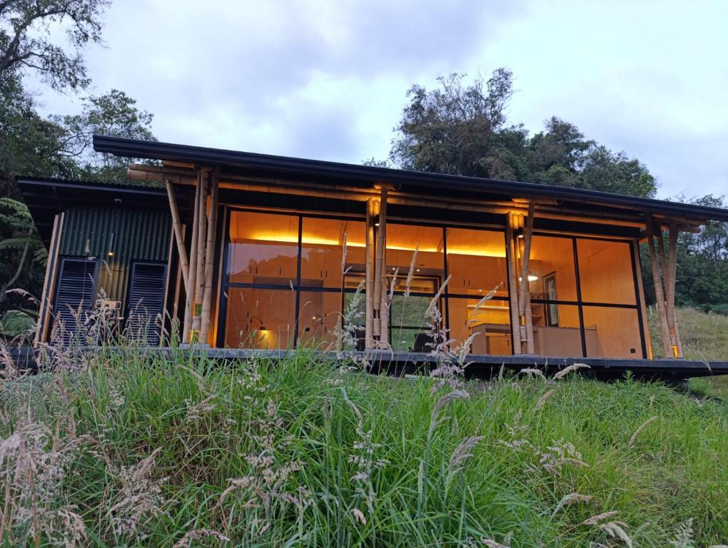 Glamping Bosque de helechos, privacidad y cercanía