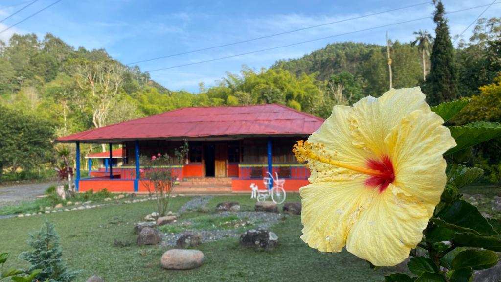 BRISAS DEL RIO SALENTO