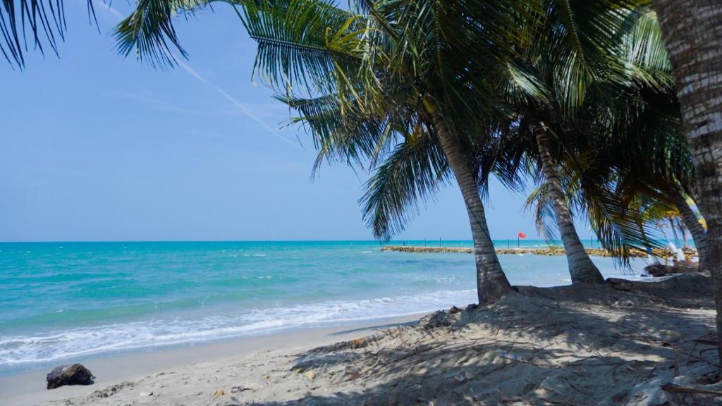 Cabaña La Pereztroica 1