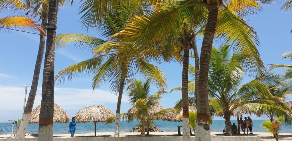 Cabañas La Cuchita RNT 61621