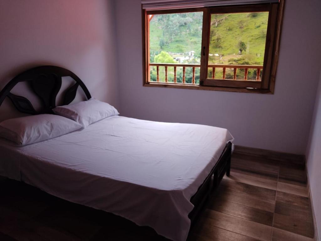 Casa El Cedral Hospedaje