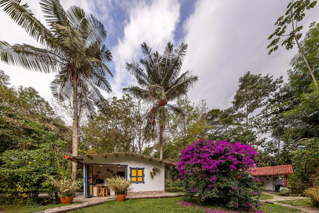 Ecohotel Piedemonte