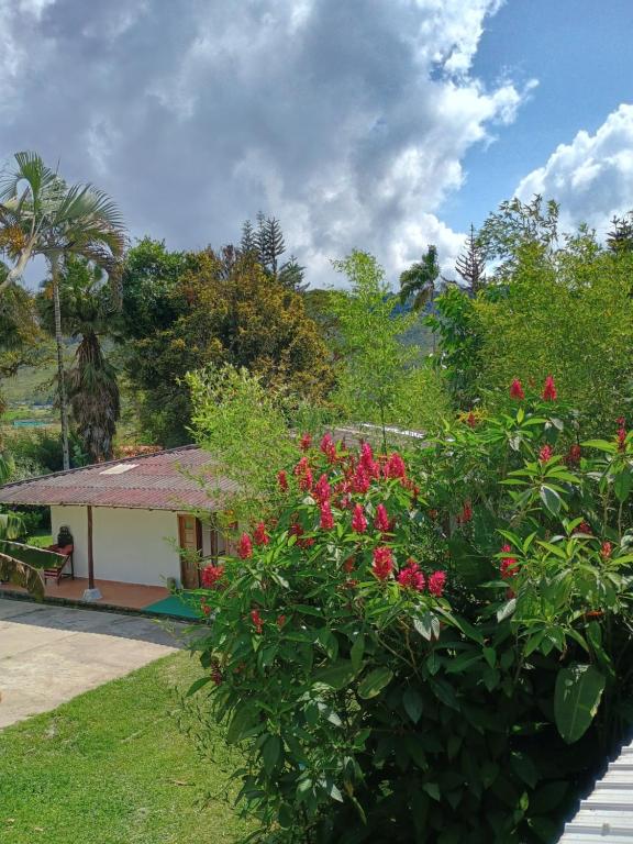 Ecopolis hospedajes casa de campo tradicional