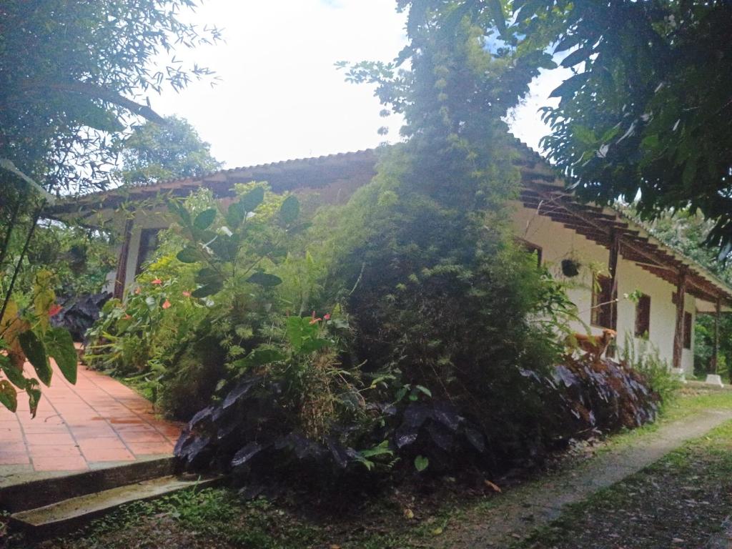 Ecopolis finca