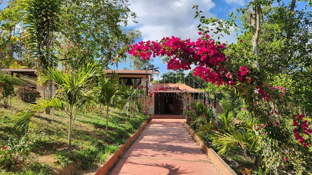 Finca Turística Marquesa Wellness - Hospedaje, Desayuno y Day Spa