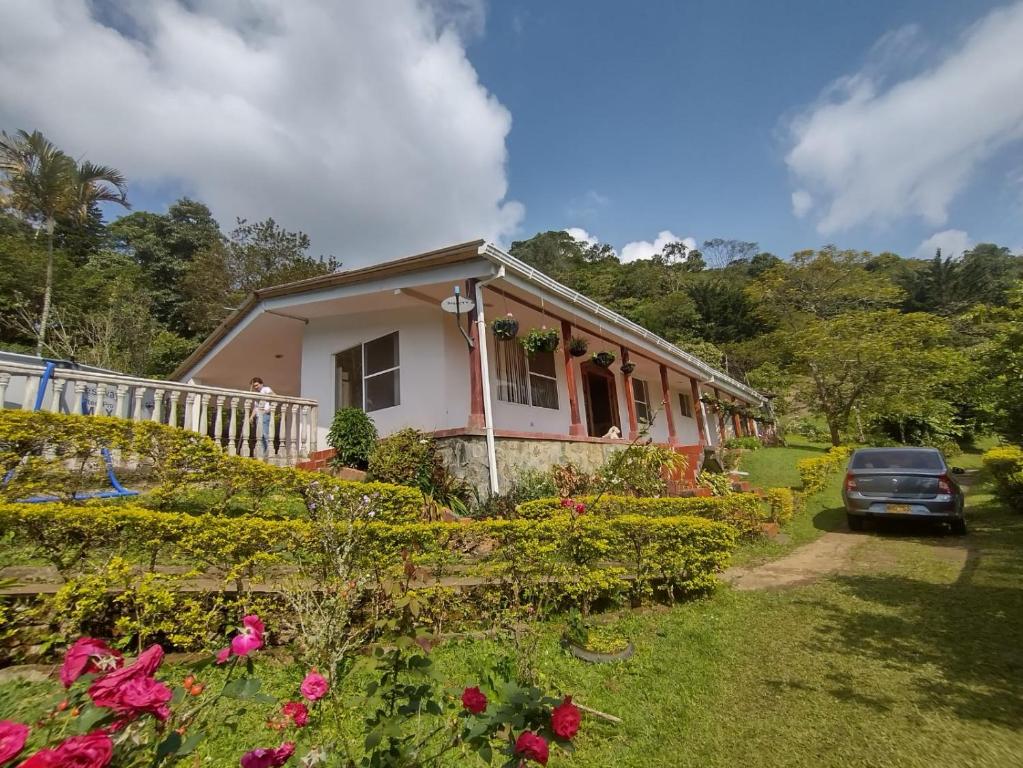Finca Villa Hailey