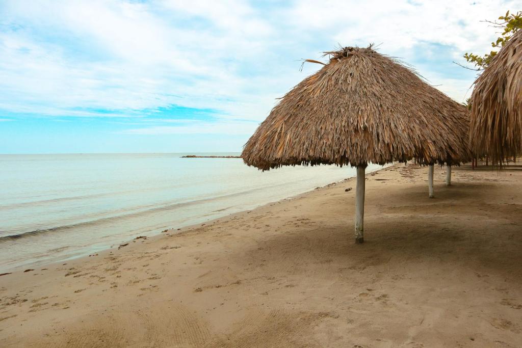 Apartamento Villa Carolina 102