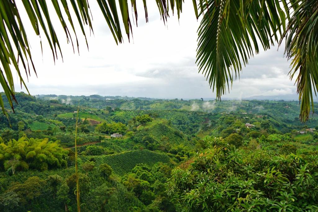 Hospedaje Mirador La Aurora Filandia