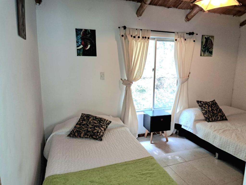 Iraka Campestre Quindio