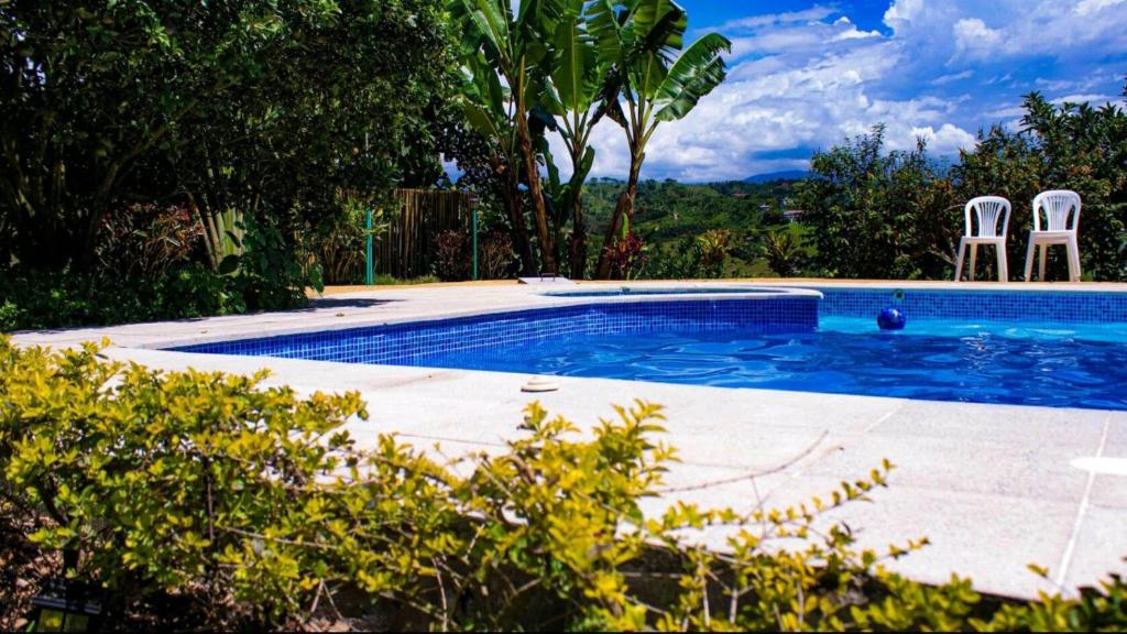 La Martina Palestina