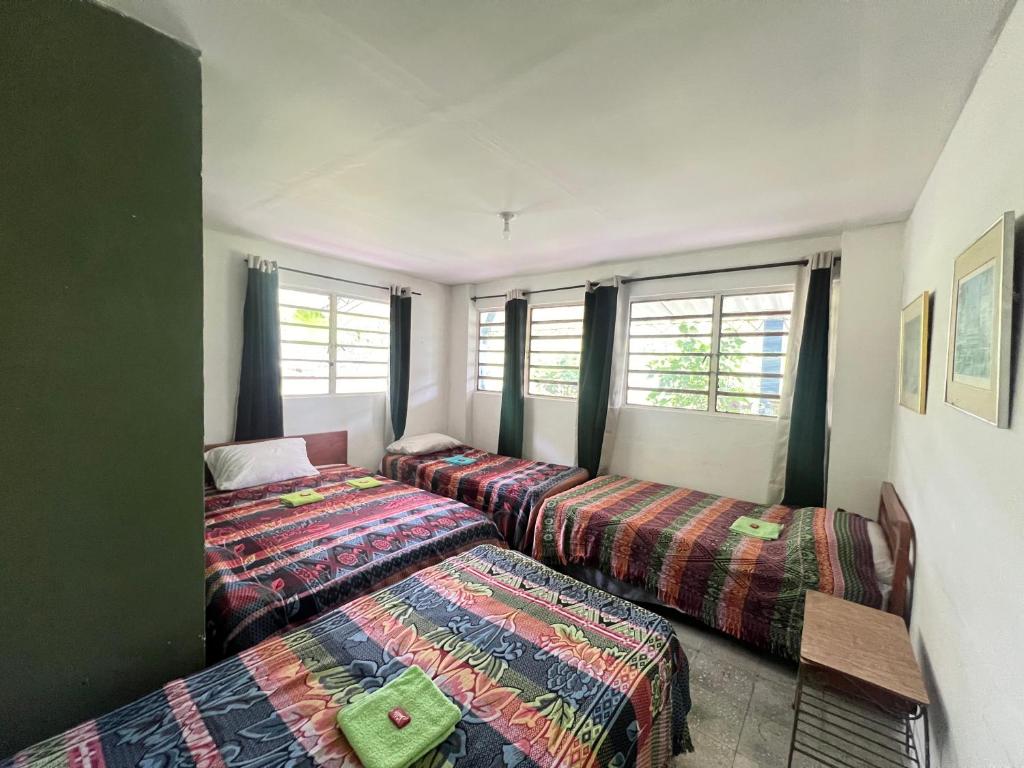 Hostal Las Hamacas del Bosque