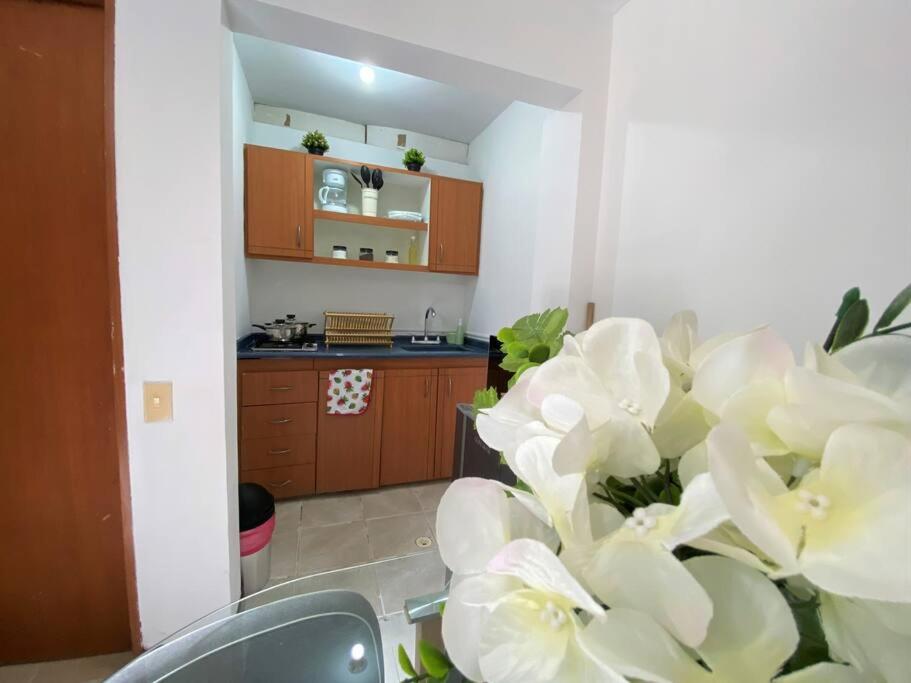 Loft en Caney, Cali