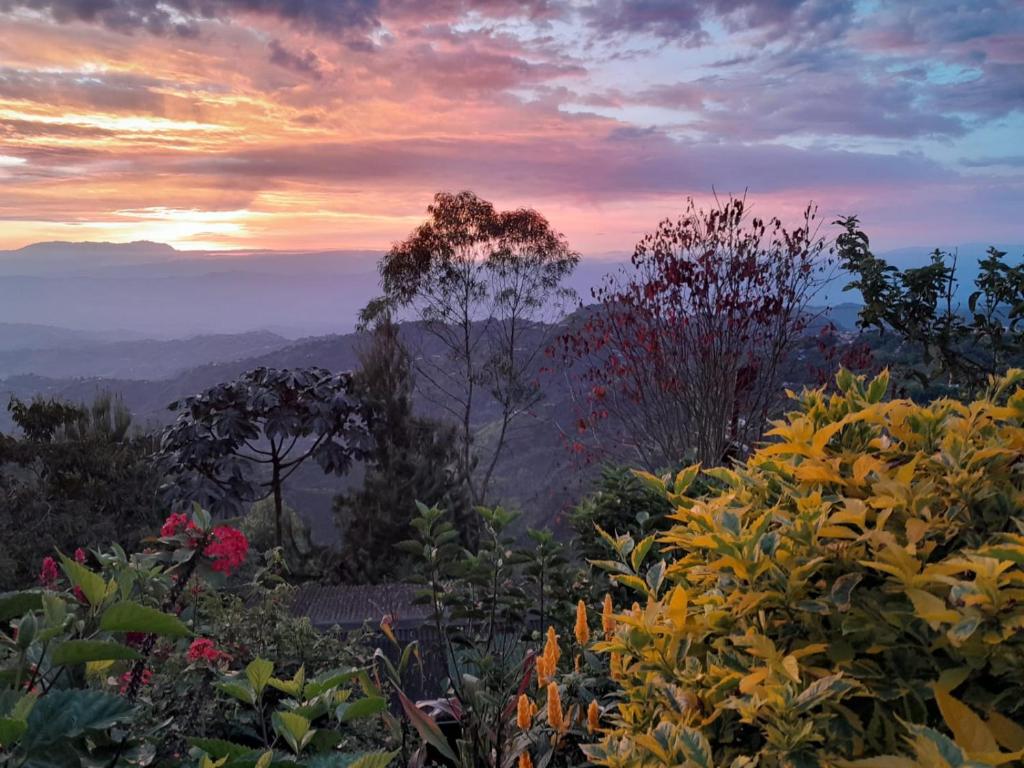 Mirador Finca Morrogacho
