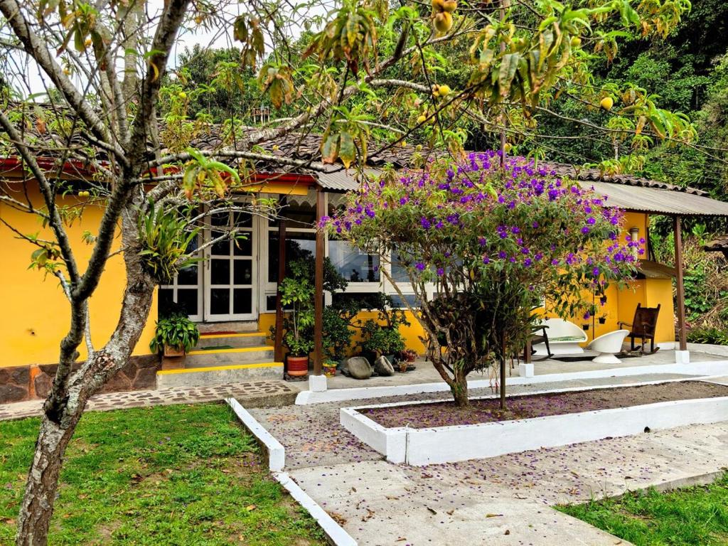 Nativo Casa Colonial