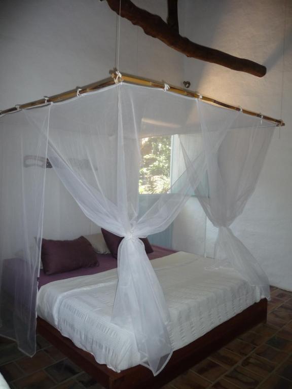 El Paraiso - B&B Finca San Vicente