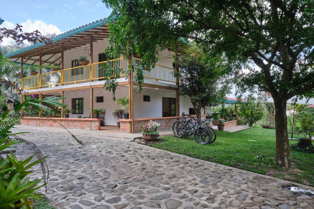 San Jose Coffee farm