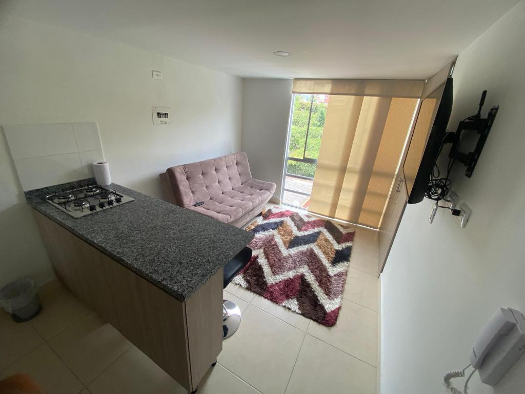 Sector Turistico, Confort y Full Amoblado