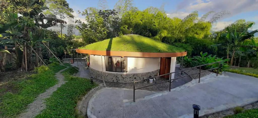Small Round House with Living Roof