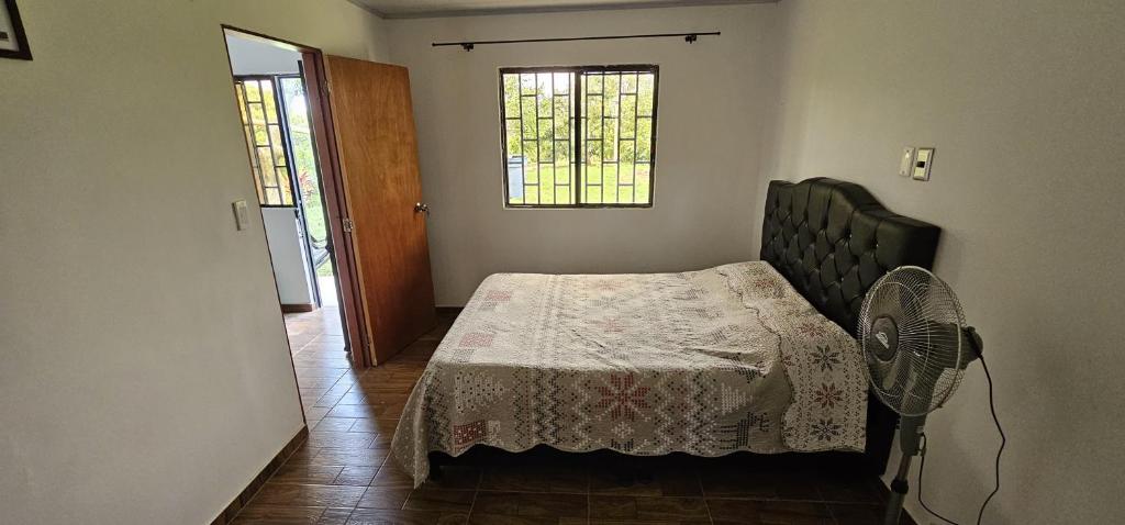 Tranquilidad en el campo Rega